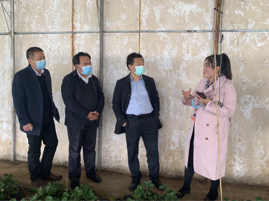 市委组织部赴南部山区、历城区调研农村电商情况