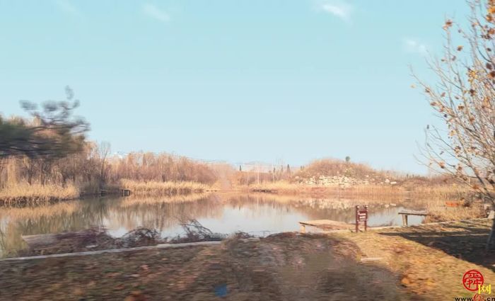 全国劳动模范坐镇的西城高科，8年来为三农创造了哪些惊喜？