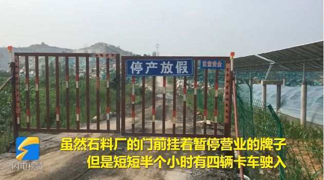 山东新泰回应“矿山刷绿漆”：矿山关停，责任人停职