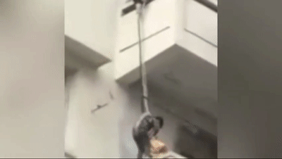 一时心急！八旬老人11楼翻窗救猫被困：平日与猫为伴