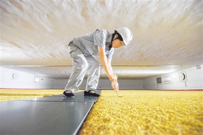 中国粮库长啥样 粮食怎样储存 探“大国粮仓”