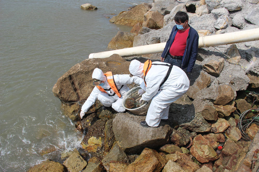 福建海警查办违法捕捞案79起 查扣渔获物约20万公斤