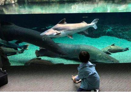 汪涵一家三口全家福曝光，4岁小沐沐身高亮了