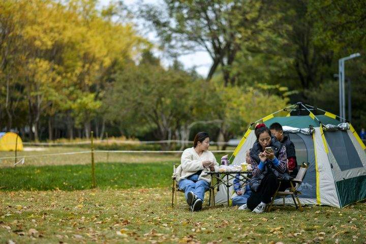 深秋黄叶林中露营野餐 体验“沉浸式”赏秋