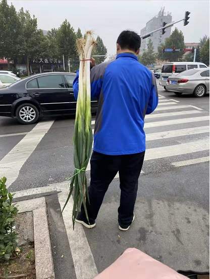 “山东的青蛙…真的好高啊”！今天的热搜过于搞笑了