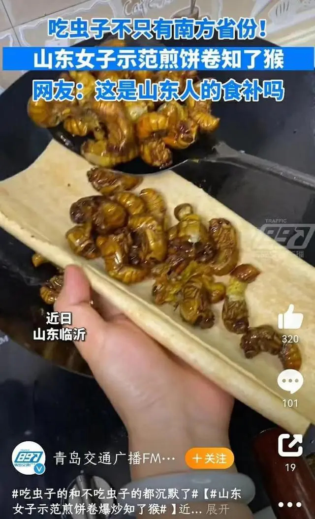 章丘区有个济南市最大的“金蝉村”，完全可实现“煎饼卷爆炒知了猴”美食自由