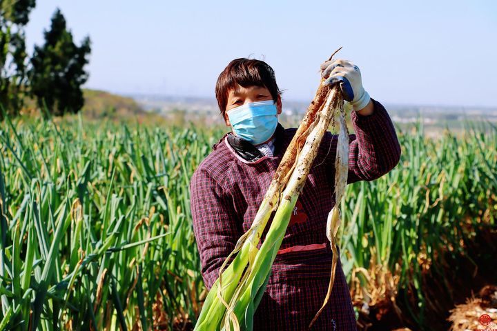 购古城好品，赏浓浓年味——古韵绣惠亮相2024章丘区特色产品展销推介会