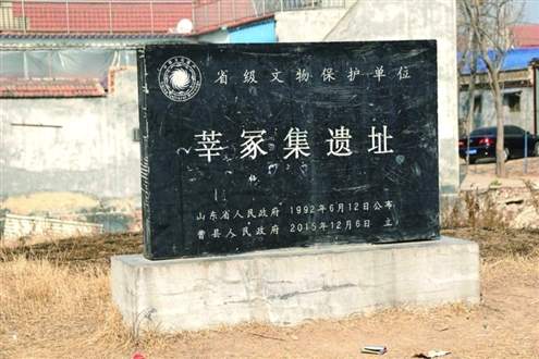 曹县莘冢集村的土丘下 竟是大禹母族的千年莘国