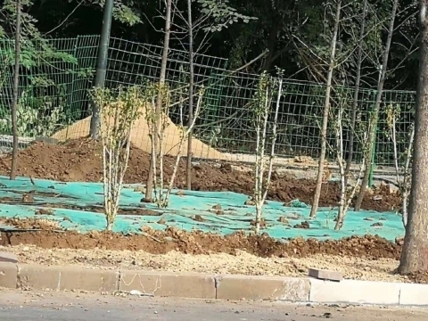【啄木鸟在行动】章丘区创业路附近绿化带渣土堆积