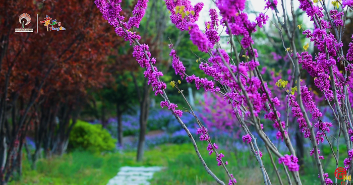 【小康路上 奋斗有我】公园里瞰小康⑤花漾街区