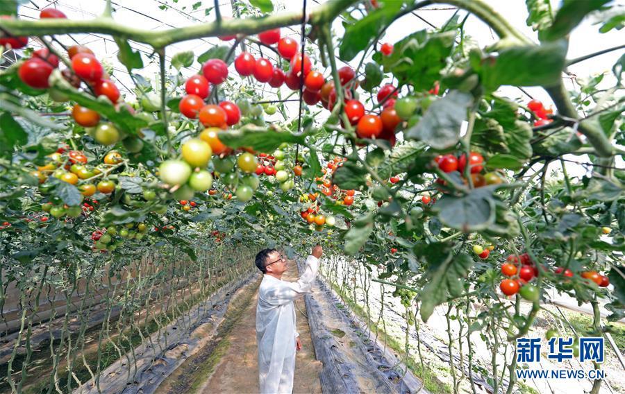 这条脱贫致富路，多姿又多彩！