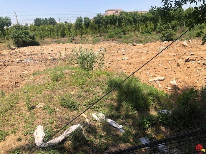 【啄木鸟行动】历城区西枣园村大片生活垃圾渣土裸露