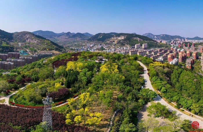 春天里的历下：一幅生机盎然的生态画卷