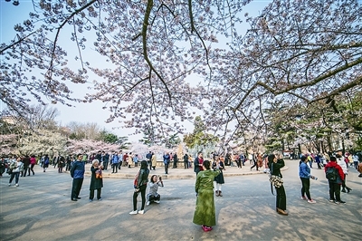 青岛6日迎客流小高峰 64万人来赏花踏青看海