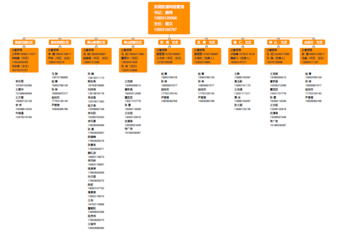 行走龙洞“3+4+N” 网格化管理筑牢抗疫“防火墙”