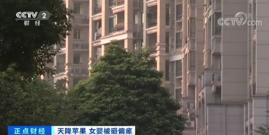 11岁女童24楼扔下苹果，砸中女婴致十级伤残！谁来赔？