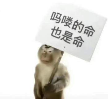 一夜之间“吗喽”占领了年轻人的生活圈 来自何方？