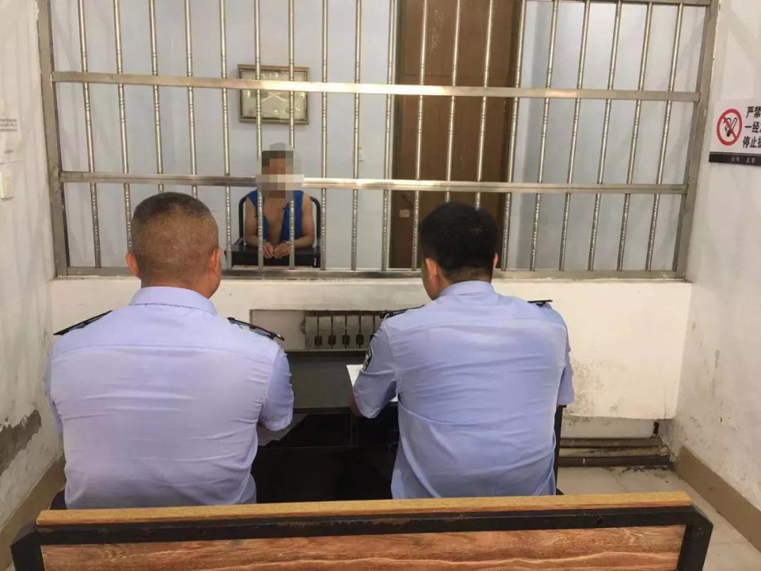 假牌、假证、假身份！五莲公安交警查获“最假司机”