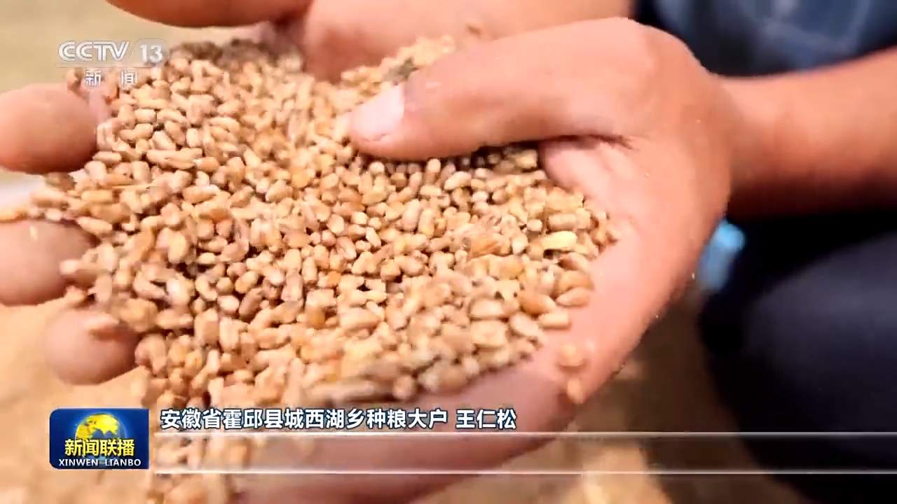 4300多万亩!全国麦收进度超10%