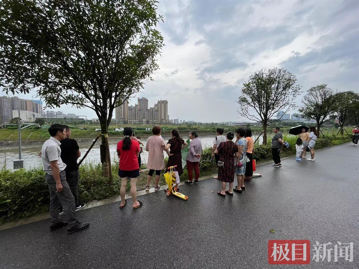 少年疑被误导下河救狗溺亡：系独子，律师称其行为构成见义勇为