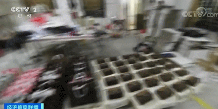 18亿奢侈品涉假案破获!售价几千元的名包成本仅200