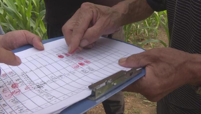 百名青年记者走基层