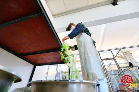 袋鼠饲养员：细心呵护，给它们一个温暖的家