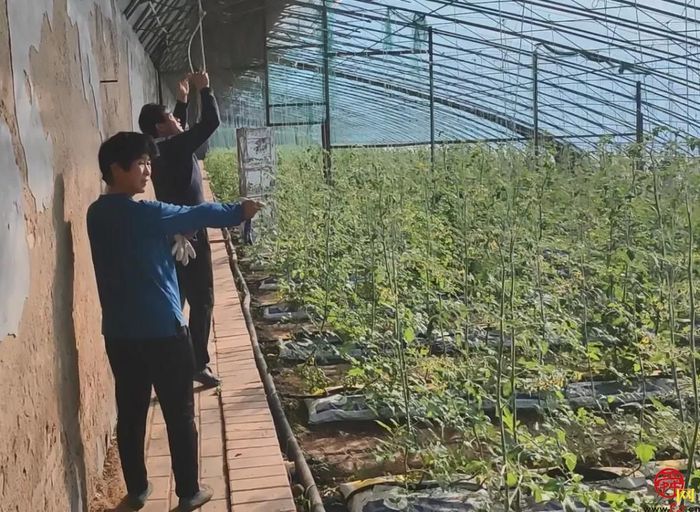 全国劳动模范坐镇的西城高科，8年来为三农创造了哪些惊喜？