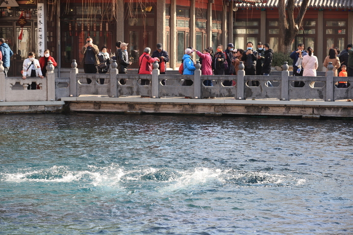 春花绽放 泉水欢歌