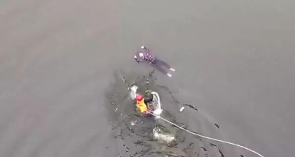 这一幕，让围观阿姨心疼连叫“我的娃儿！”