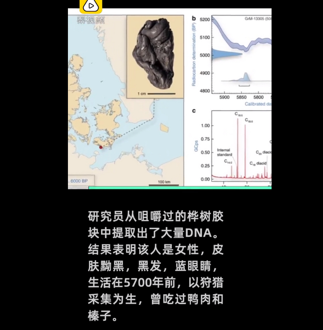 首次提取骨骼外DNA！科学家用古代口香糖复原5700年前女孩