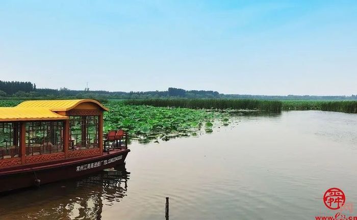 15秒短视频与《三泉溪暖》一起登上山东卫视