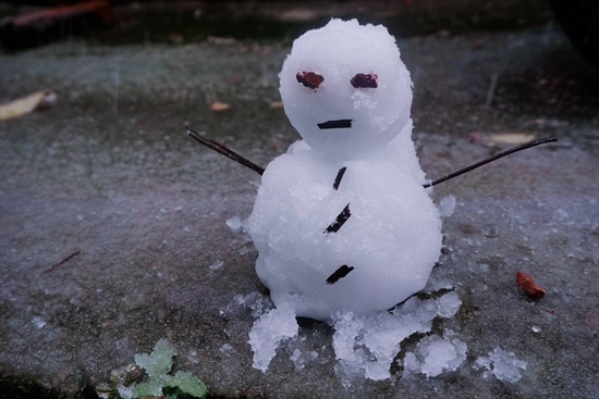 武汉日记：来，是为了同一个目标