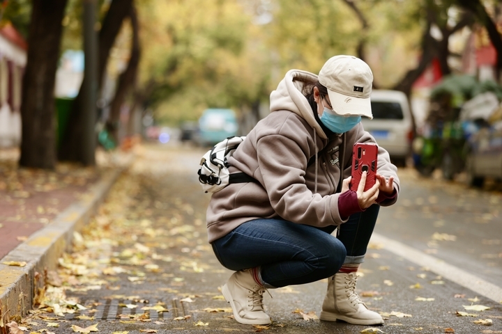 寒潮来袭 雨打落叶满地金 济南这里风景独好