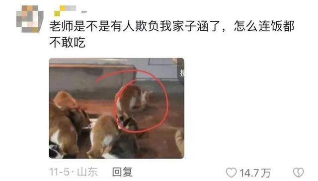 “我家子涵”是谁？全网都在关心“我家子涵”