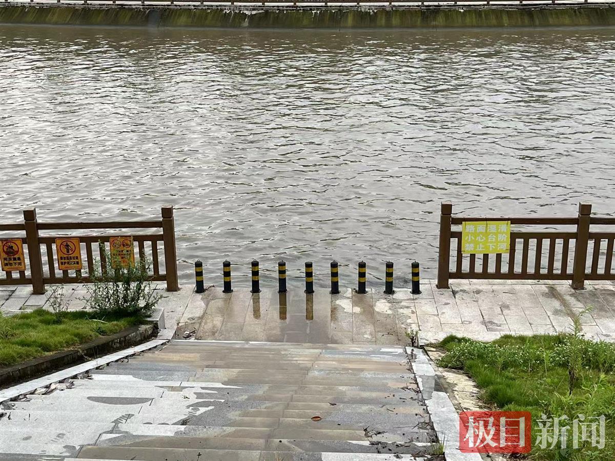 少年疑被误导下河救狗溺亡：系独子，律师称其行为构成见义勇为