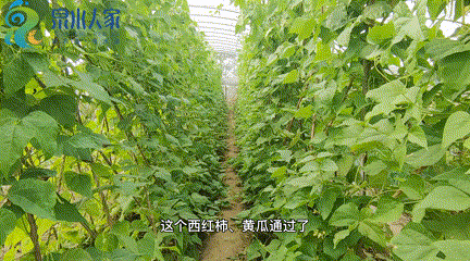 泉水人家于禄海深藏大山20年 拓荒5400亩建“天然氧吧”