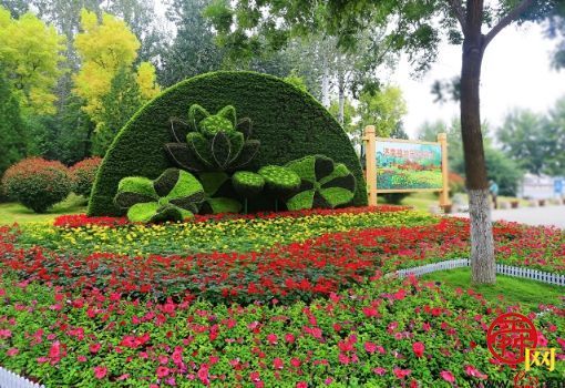 济南拍了拍你：1100余万盆花卉已就位，泉城共享鲜花盛宴，喜迎国庆佳节