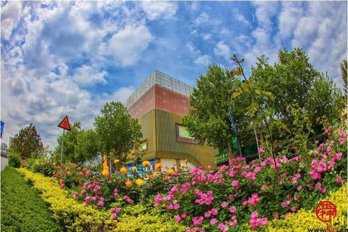 【图集】槐荫变花园 近30万盆花卉吐芬芳