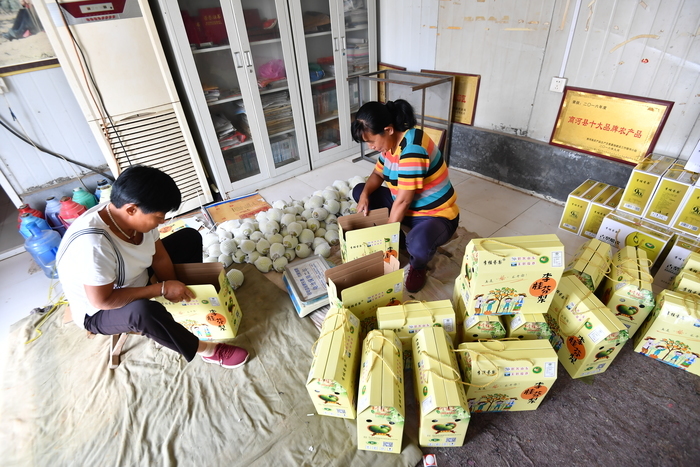 【花博看商河】花博会·线路 