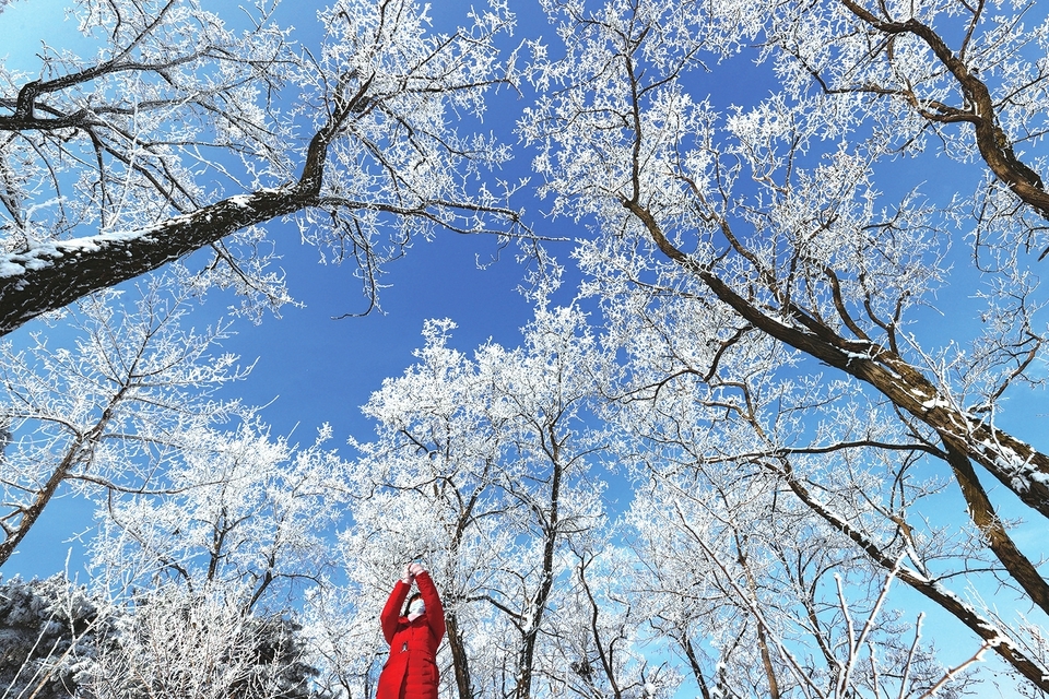 雾凇美景迎小年