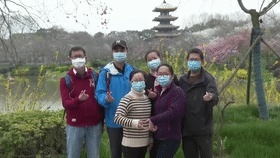 武大内、东湖畔！樱花开了！