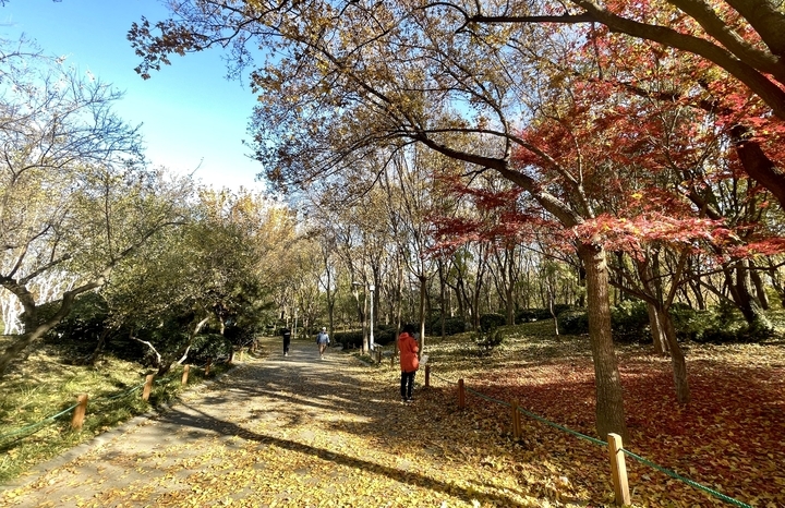 济南的冬天美翻了 泉城公园披上“花式冬装”