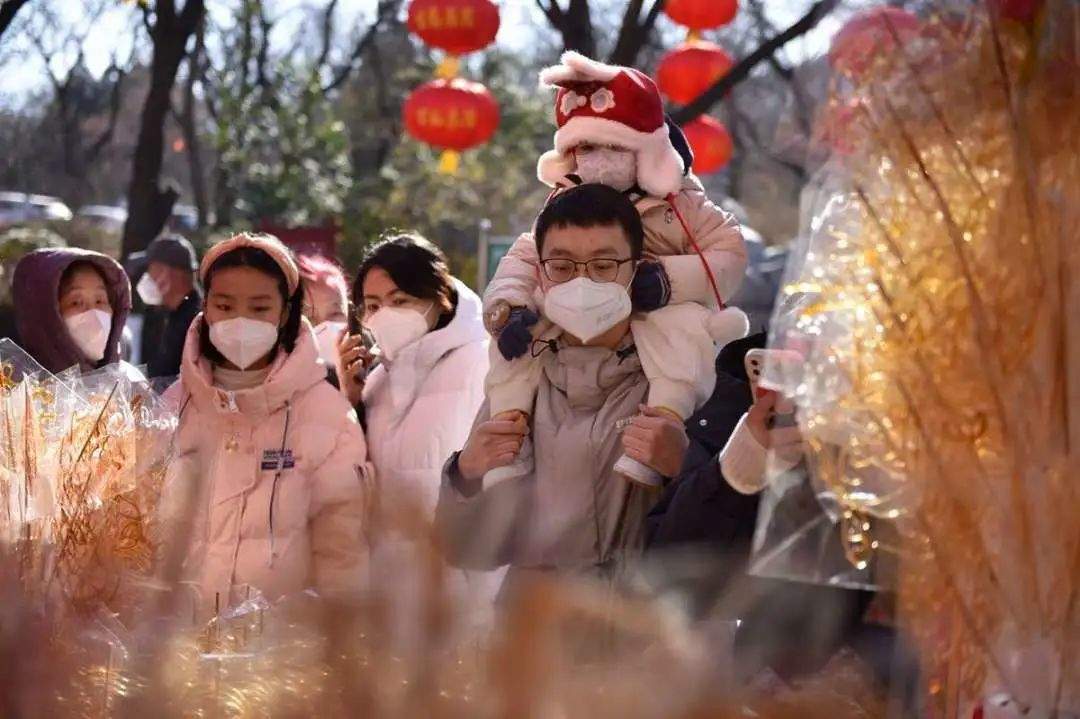 奋跃而上的山东②：烟火气息浓起来