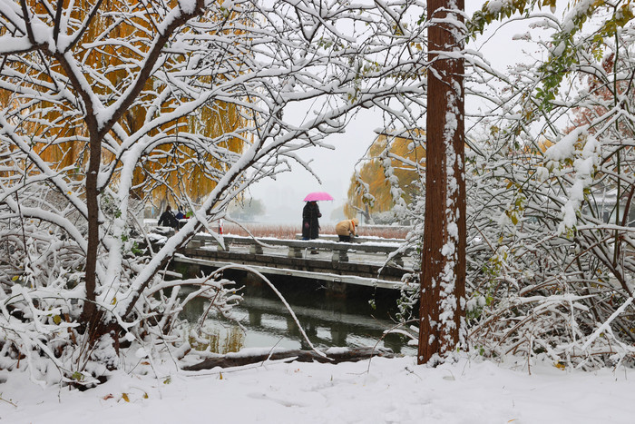 雾霭升腾 宛若仙境！雪后济南冬韵曼妙入画来  