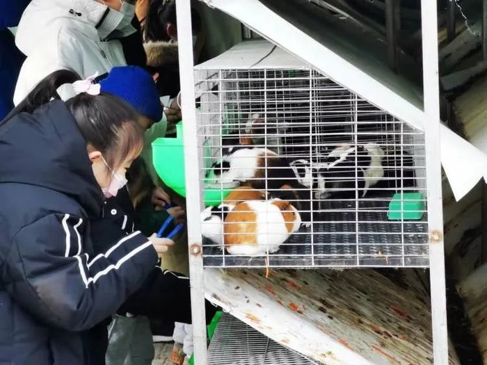 春节假期，济南这九大公园景区人气爆棚共接待游客42.5万人次