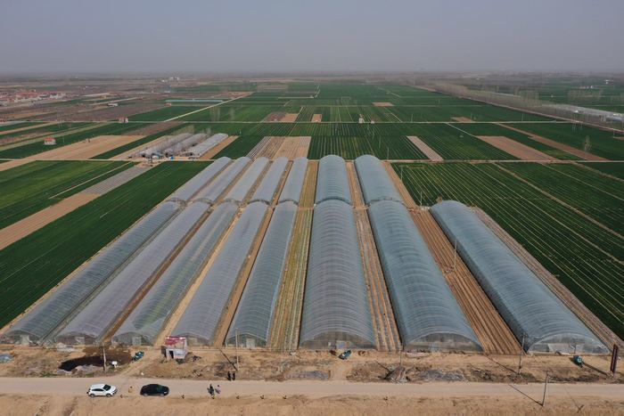 【春耕进行时（四）】章丘区张家林村以现代农业实现精准扶贫有效对接