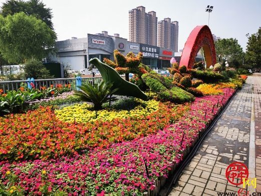 济南拍了拍你：1100余万盆花卉已就位，泉城共享鲜花盛宴，喜迎国庆佳节