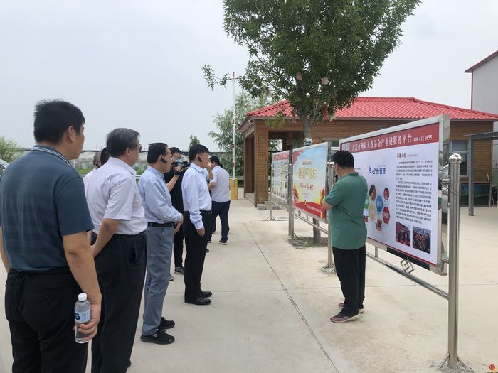 巩固脱贫成果 助推乡村振兴 济南市政协深入农村“商量”