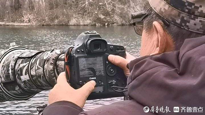 鸬鹚首次“组团”来访，鸟儿咋也爱上了济南的冬天？